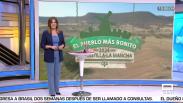 Despierta Player con Cristina Medina - 14/11/2024