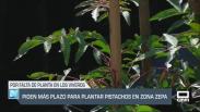 Piden más plazo para plantar pistachos en zona ZEPA - 03/01/25