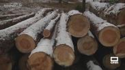 Aparecen los primeros copos de nieve en la Sierra de Cuenca