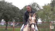 Juan Pedro : "aquí tengo mis caballos, que son mi gran pasión"