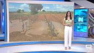Castilla-La Mancha fin de semana a las 8 - 3/5/2025