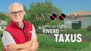 Especial La rotonda desde Vivero Taxus (20/05/2025)