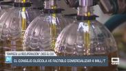 El Consejo Oleícola ve factible comercializar 4 millones de toneladas - 22/05/25
