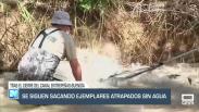 La mañana En Titulares - 26/5/2025