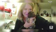 La historia de Pucho, un perro de raza Braco Alemán abandonado en un contenedor