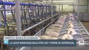 La leche manchega baja otra vez y pierde su diferencial - 03/06/25