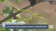 Cuantiosos daños en el primer pedrisco de junio - 04/06/25