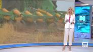 Castilla-La Mancha despierta - 05/06/2025