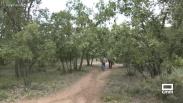 Visitamos el Bosque de Valdenazar, un oasis a pocos kilómetros de Guadalajara