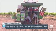 La climatología condiciona las nuevas plantaciones - 09/06/25