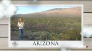 Arizona
