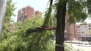 Los efectos del granizo que cayó en Guadalajara