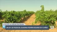 El 20 % de los pozos del Guadiana podría secarse en 10 años - 16/06/25