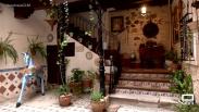 XXIV Certamen de Patios Toledanos