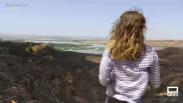 Estabilizado el incendio de Las Barrancas de Burujón
