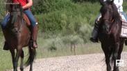 Ruta a caballo por la Dehesa de Castilseras