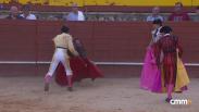 Novillada desde Trillo (22/06/2025)