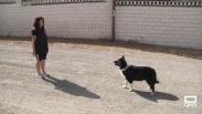 La Senda del Lobo en Ciudad Real, un lugar donde dejar a nuestras mascotas