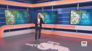 El campo - 27/06/2025