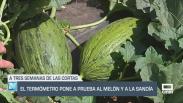 El campo - 30/06/2025