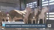 El campo - 01/07/2025