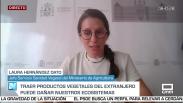 Entrevista a Laura Hernández Dato