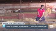 El campo - 03/07/2025