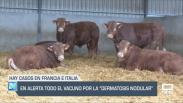 El campo - 04/07/2025