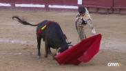 Novillada desde Motilla del Palancar (06/07/2025)
