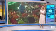 Castilla-La Mancha despierta - 08/07/2025