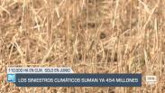 El campo - 09/07/2025