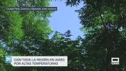 Previsión del tiempo - 15/07/2025