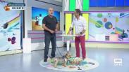 Cómo tratar la exposición al sol de nuestras mascotas
