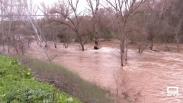 El río Henares, más limpio tras semanas de trabajo