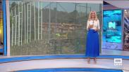Castilla-La Mancha despierta - 31/07/2025
