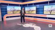 El campo - 05/08/2025