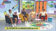 El futuro de la agricultura en Castilla-La Mancha: hablamos con jóvenes agricultores de la región