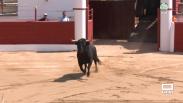 Comienzan las fiestas en Fontanar en honor a San Roque