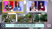 El Molino (05/04/2021)