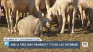El campo - ASAJA reclama financiar todas las vacunas - 19/08/2025
