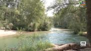 El empalme de Trillo, un lugar para refrescarnos en verano