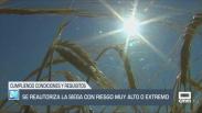 El campo - Se reautoriza la siega con riesgo muy alto o extremo - 20/08/2025