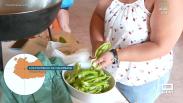 Concurso de migas en las fiestas de Los Pozuelos de Calatrava