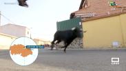 Encierro urbano en las fiestas patronales en honor a San Bartolomé