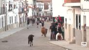 Vaquillas, limoná y tostones en una jornada de feria de Orgaz