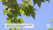 Previsión del tiempo - 31/08/2025