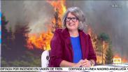 Entrevista Mercedes Gómez