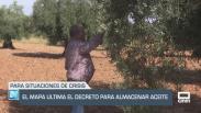 La PAC, Mercosur y los jóvenes, las grandes prioridades - 01/09/2025