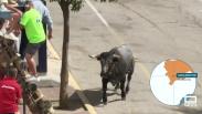 Último encierro de las fiestas de Molinicos