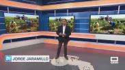 La viña en vaso, amenazada por la falta de relevo - 03/09/2025